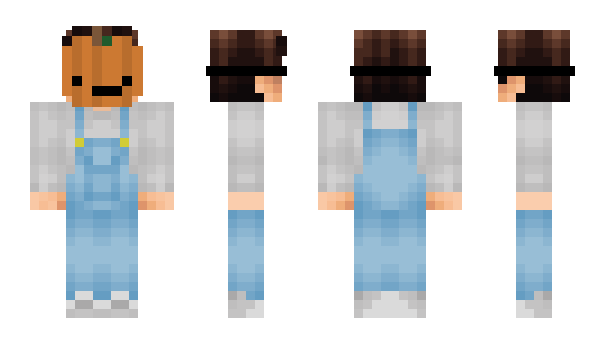 Minecraft skin Pndemic