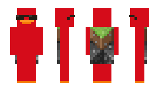 Minecraft skin DefinitelyC0le
