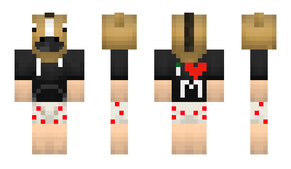 Minecraft skin caballoloco