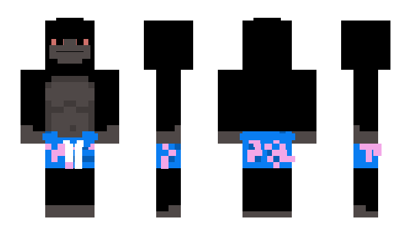 Minecraft skin TESA1DE