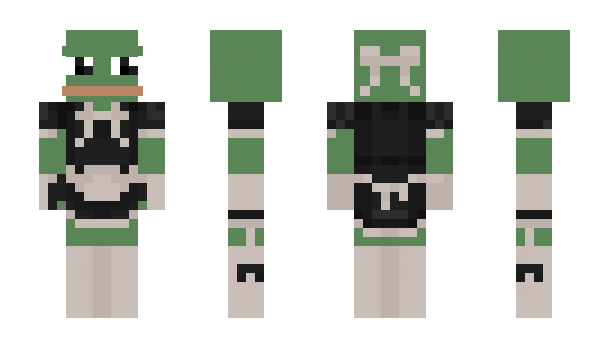 Minecraft skin frogmaid