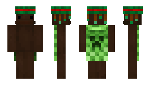 Minecraft skin rudyfame