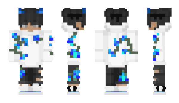 Minecraft skin dator665