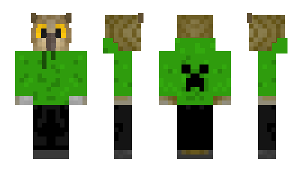 Minecraft skin Owlblock