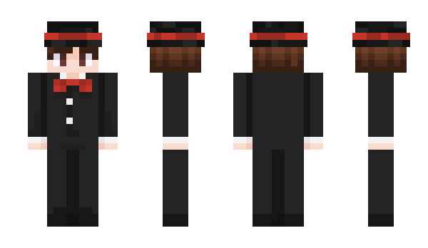 Minecraft skin ignLionstar
