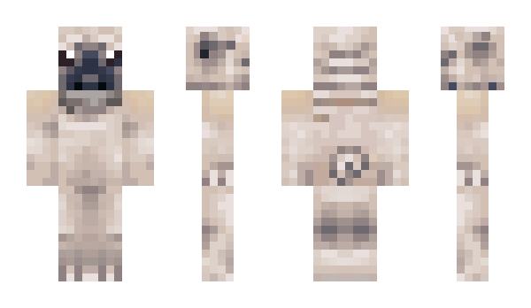 Minecraft skin etho97