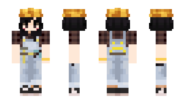 Minecraft skin JRpp