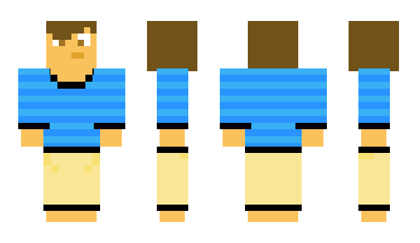 Minecraft skin HappyBlocks