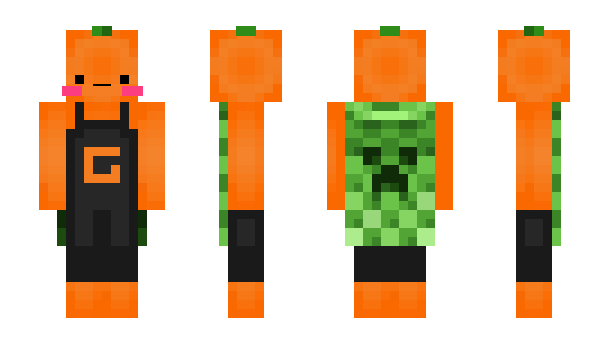 Minecraft skin AngryLion