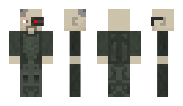 Minecraft skin Aquis