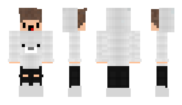 Minecraft skin snnl