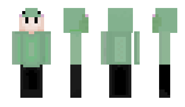 Minecraft skin Allav