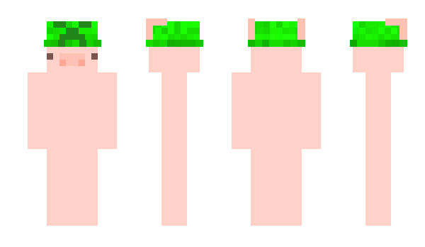 Minecraft скин по нику Hamful