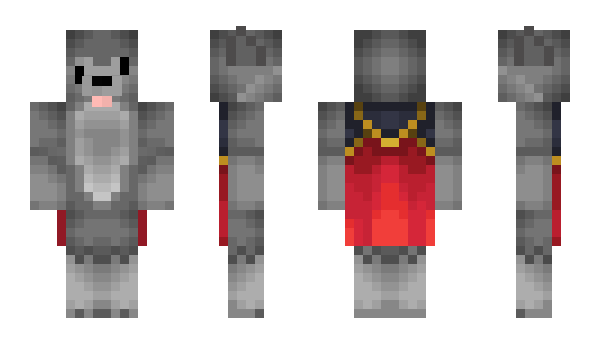 Minecraft skin Aficion