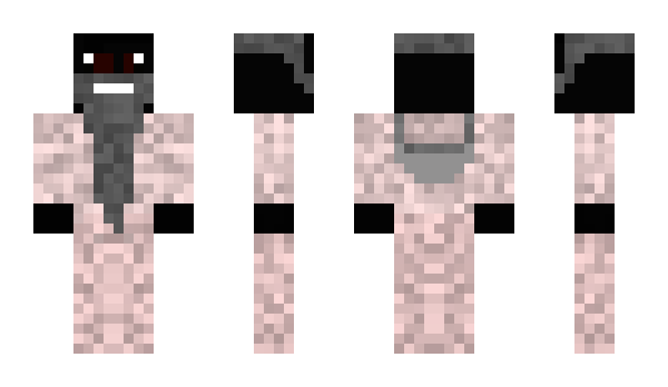 Minecraft skin ludomir