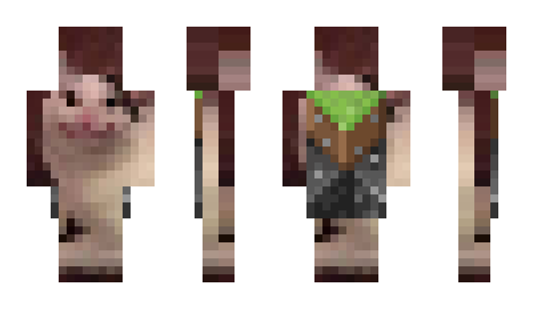 Minecraft skin D4er