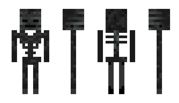 Minecraft skin dimensin