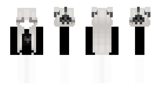 Minecraft skin n0wp