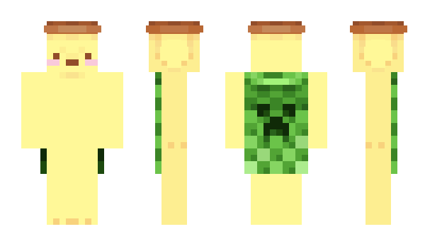 Minecraft skin pompompvrin