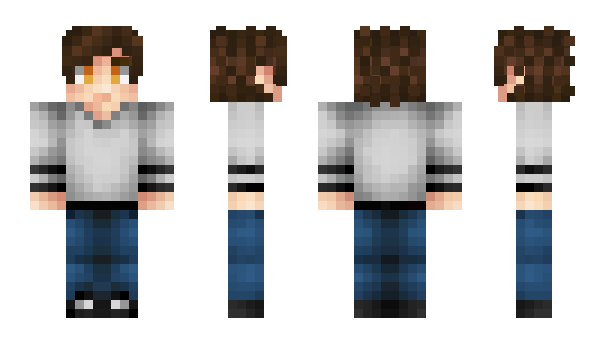 Minecraft skin Visitas