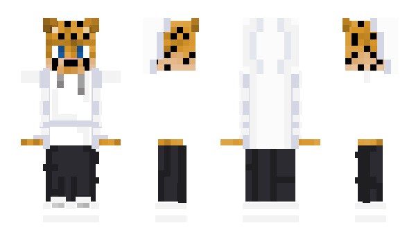 Minecraft skin BowandArow