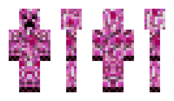 Minecraft skin solvekk