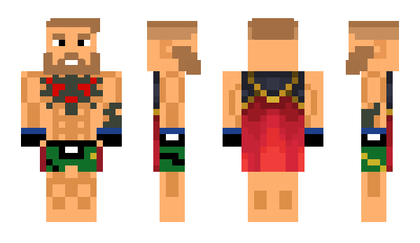 Minecraft skin Ankakusu