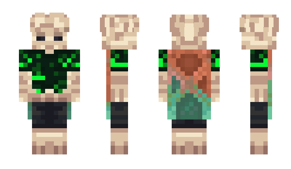 Minecraft skin Quack4Duck