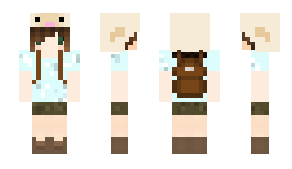 Minecraft skin ewer