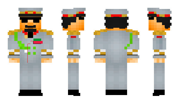 Minecraft skin _perci