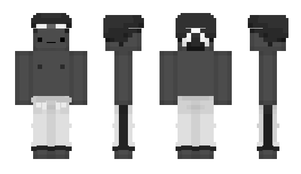 Minecraft skin 9mg