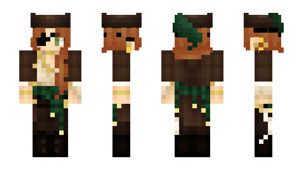 Minecraft skin hkio