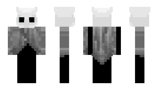 Minecraft skin HollowKnights