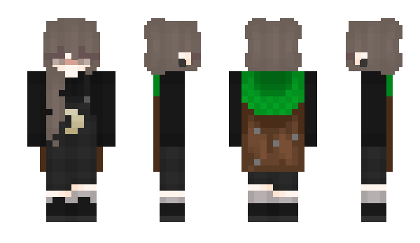 Minecraft skin GrayPfote
