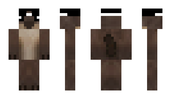 Minecraft skin CCNN