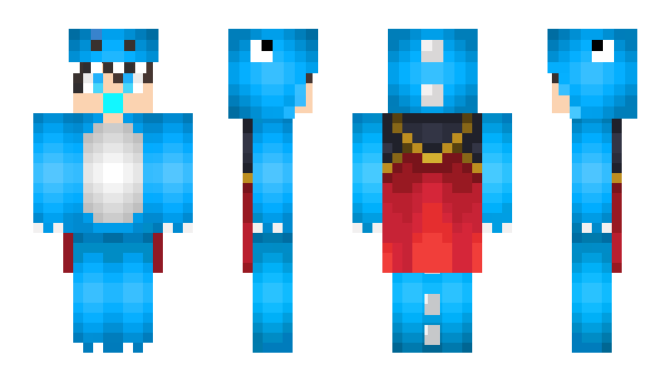 Minecraft skin SebbeBus