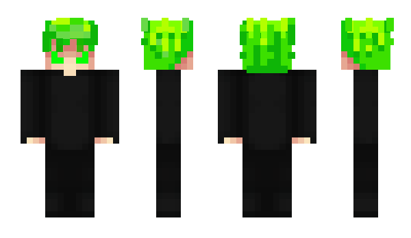 Minecraft skin xaju