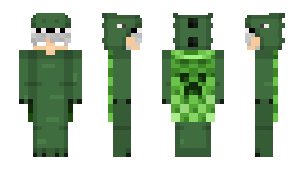 Minecraft skin Arrasar