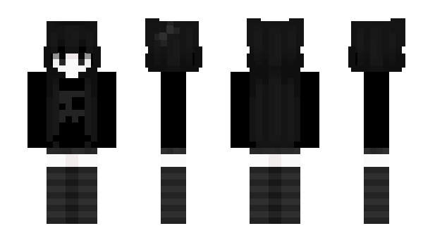 Minecraft skin assumin