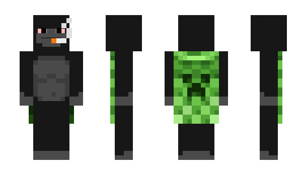 Minecraft skin RxalWayz