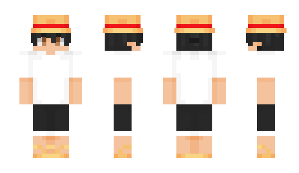 Minecraft skin ptocris