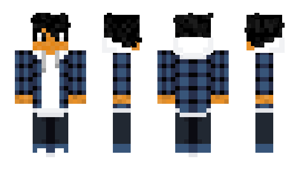 Minecraft skin CanadianPanther