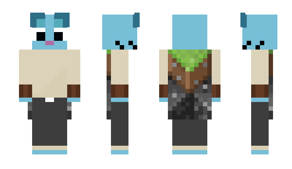 Minecraft skin Ticsup