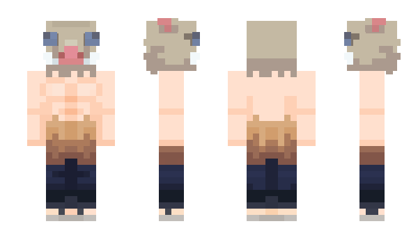 Minecraft skin vliMus
