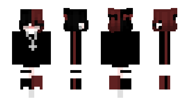 Minecraft skin FasLan