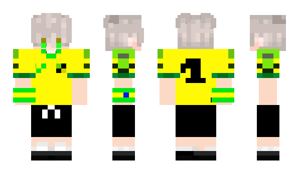 Minecraft skin Bnpparibas