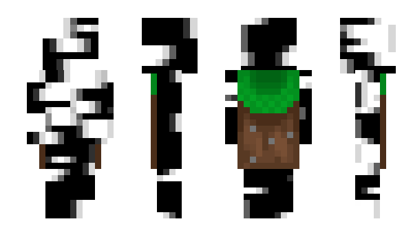 Minecraft skin l1wmnn