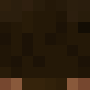 Minecraft скин по нику ddlt