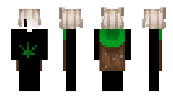 Minecraft скін по ніку Has_