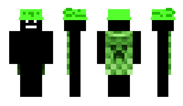 Minecraft skin Winx_MC